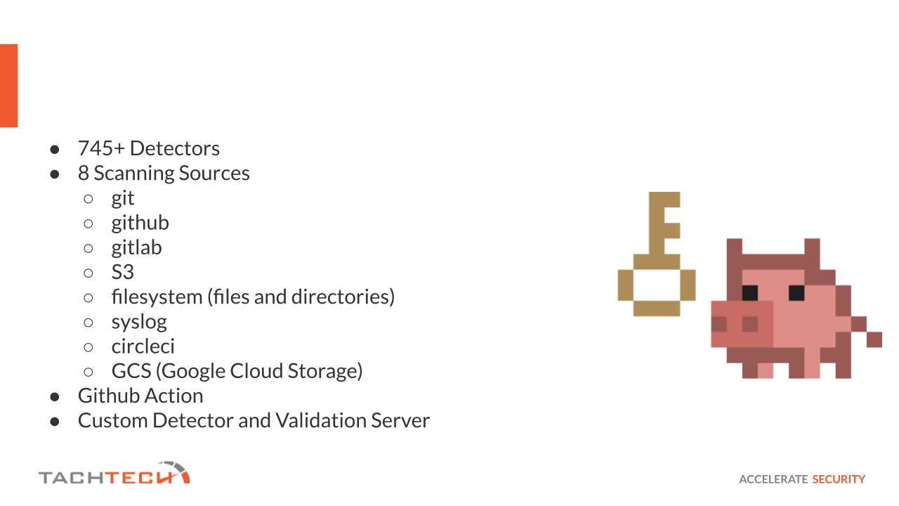 Custom Detector and Validation Server